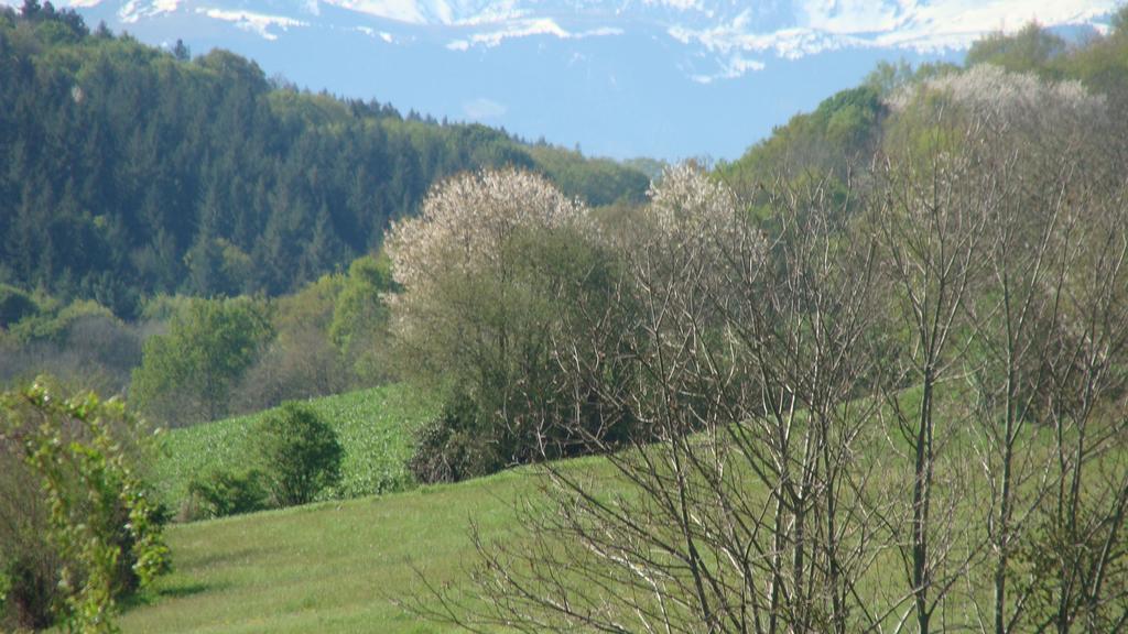 Gite Du Paradis Vieuzos Exteriör bild